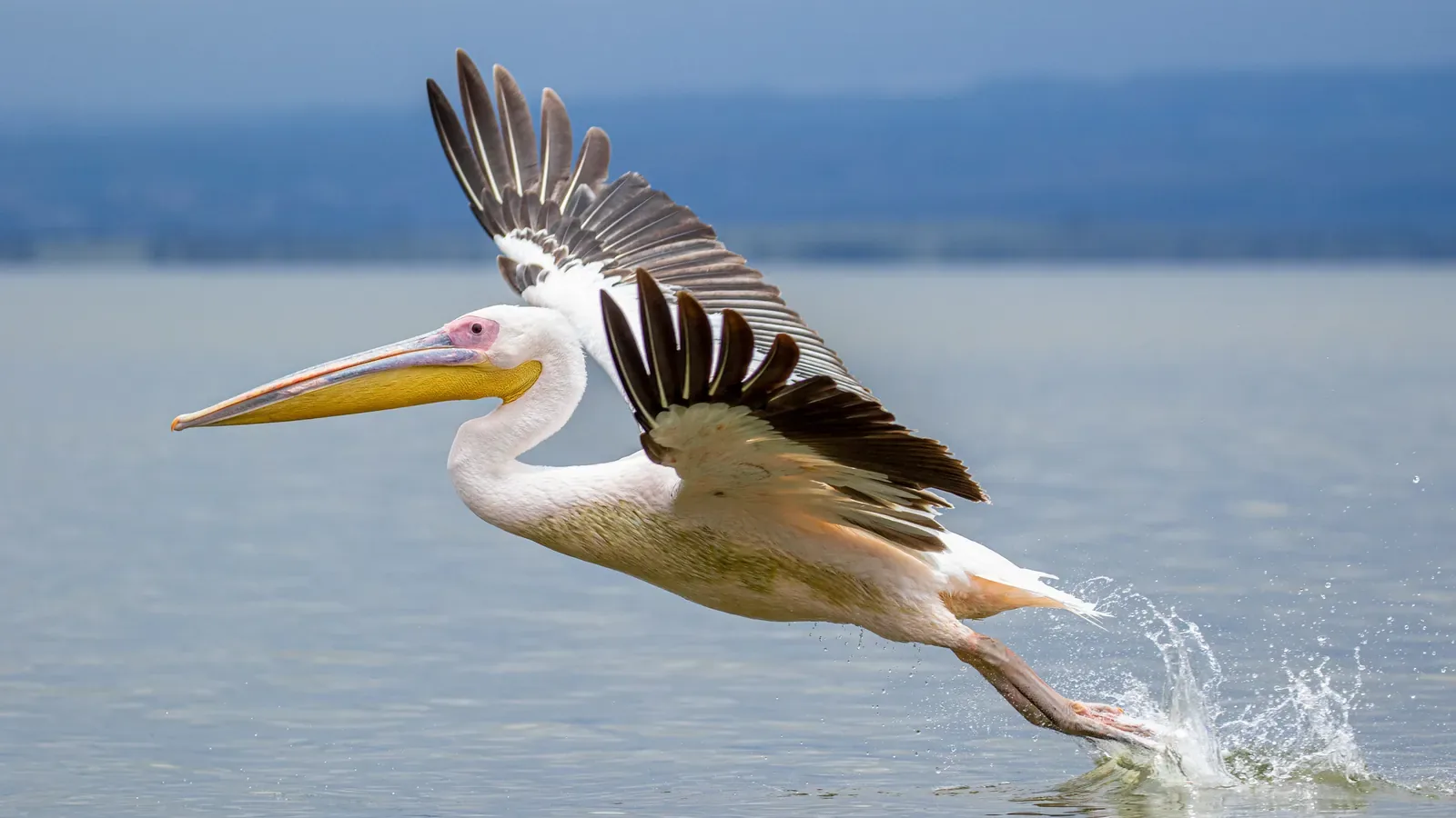 15 Days Classical Kenya Bush and Diani Coast Holiday