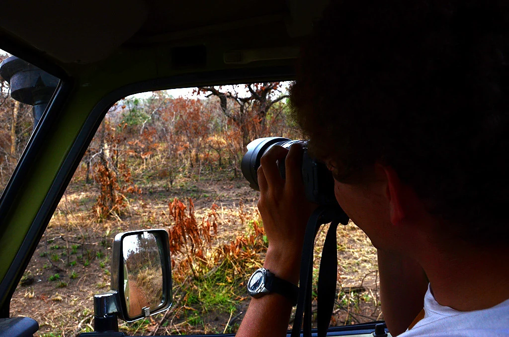 4 Days Chimps and Gorilla Safari Rwanda