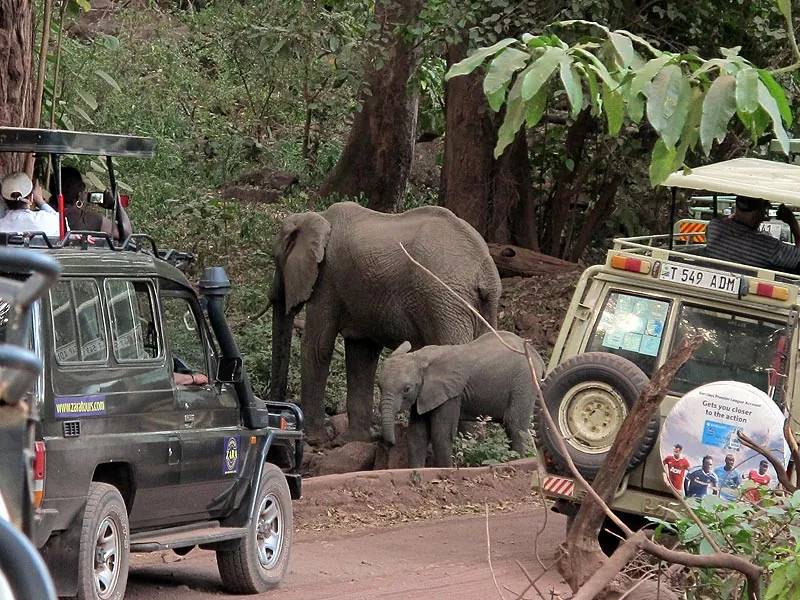 Lake Manyara National Park
