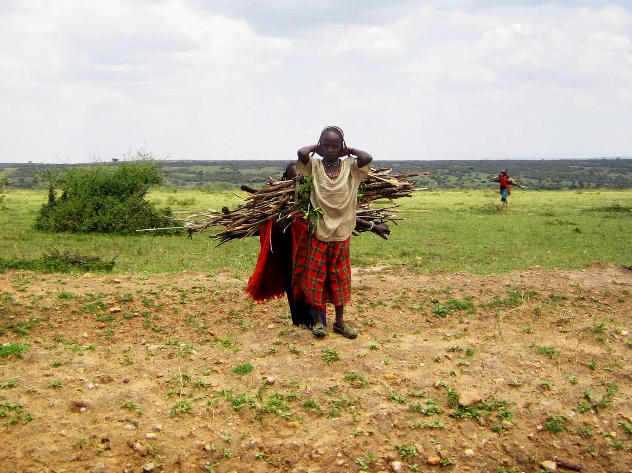 Kenya safari destination