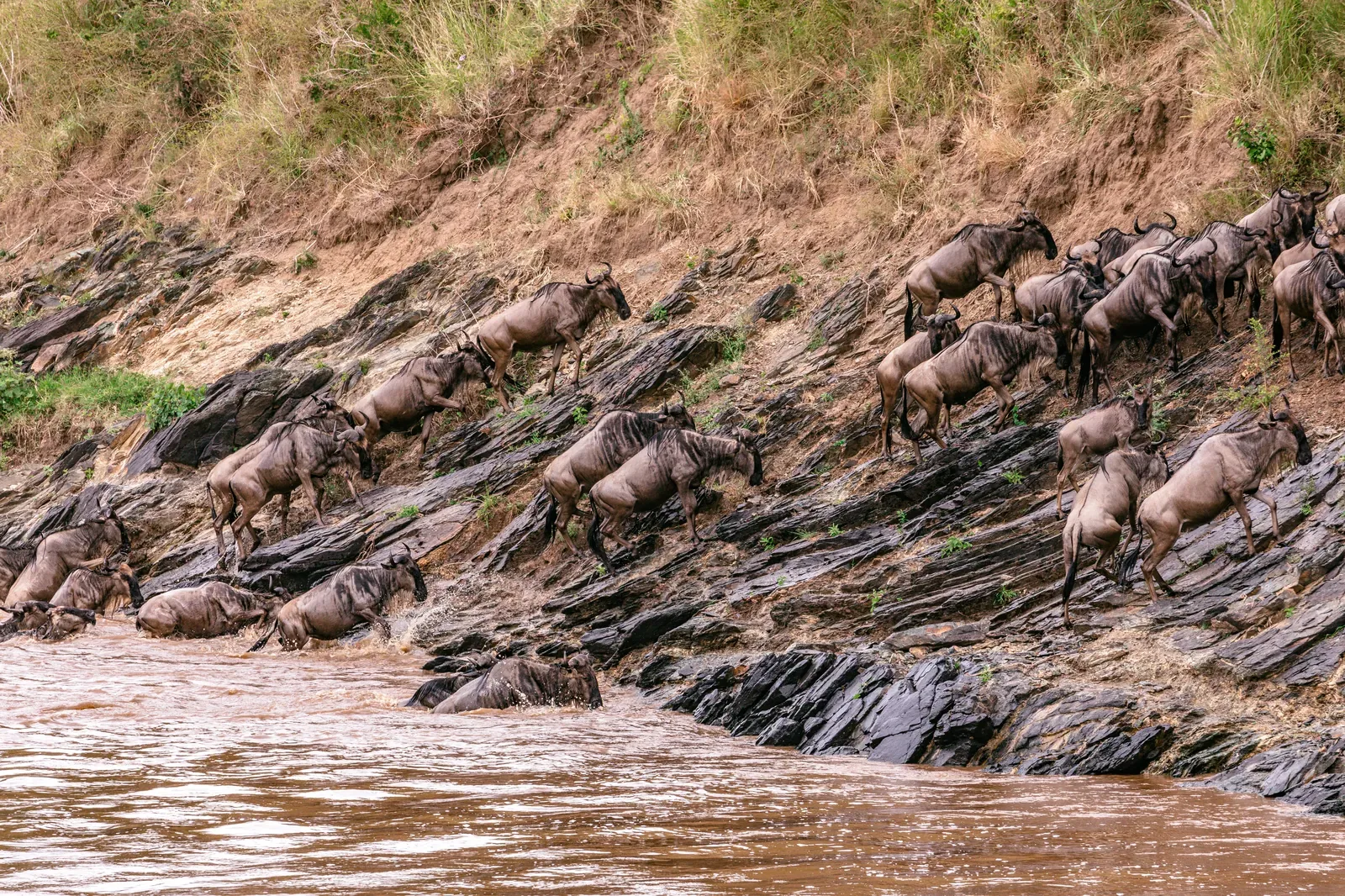 4 Days Masai Mara & Lake Elementaita Safari Holiday