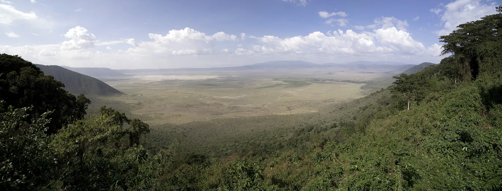 4 Days Tarangire, Ngorongor and Serengeti Wilderness Safari