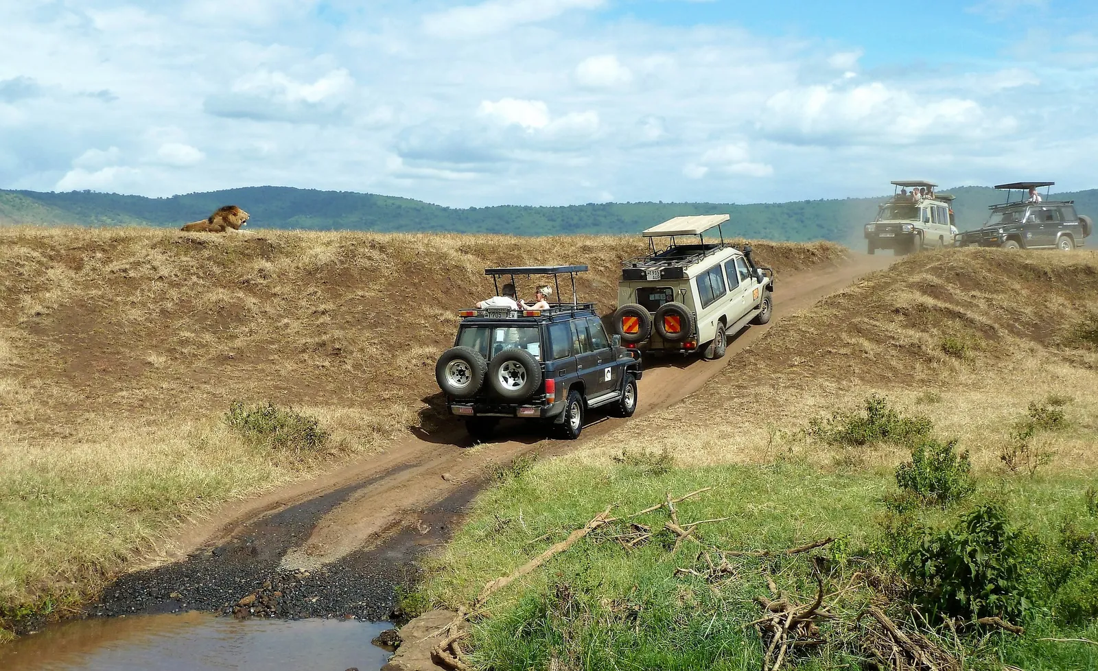 8 Days Classical Tanzania Safari