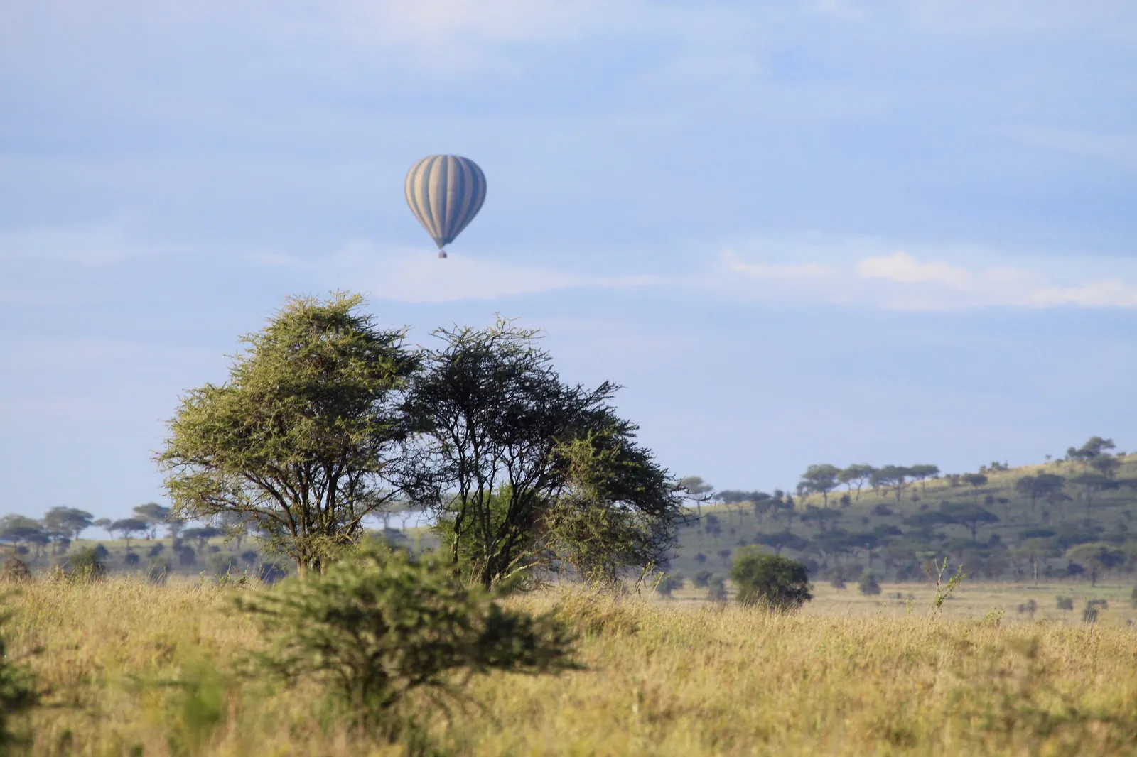 7 Days Wilderbeast Migration Tanzania Safari
