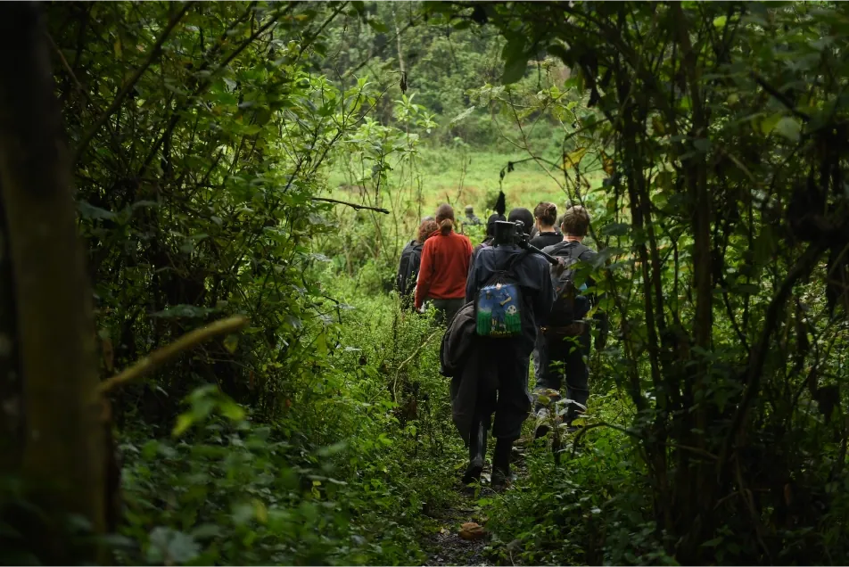 3 Days Kibale Chimpanzee Trek Safari