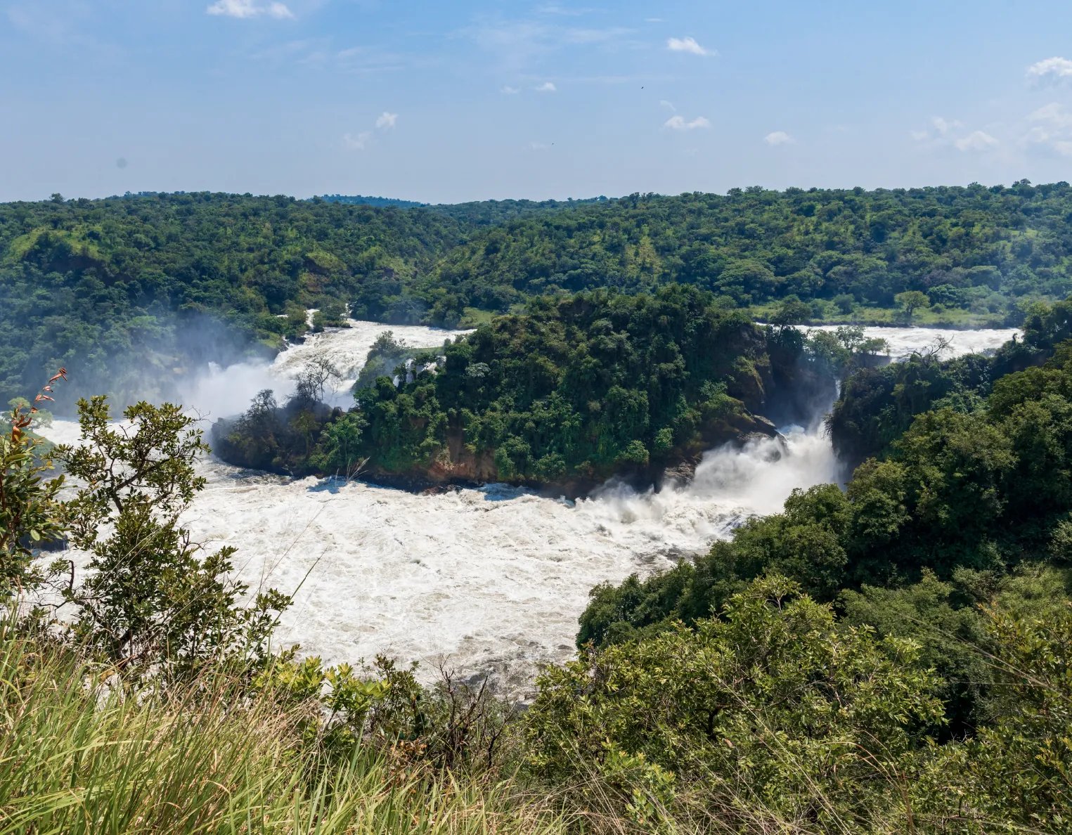 10 Day Uganda Bird Watching Safari