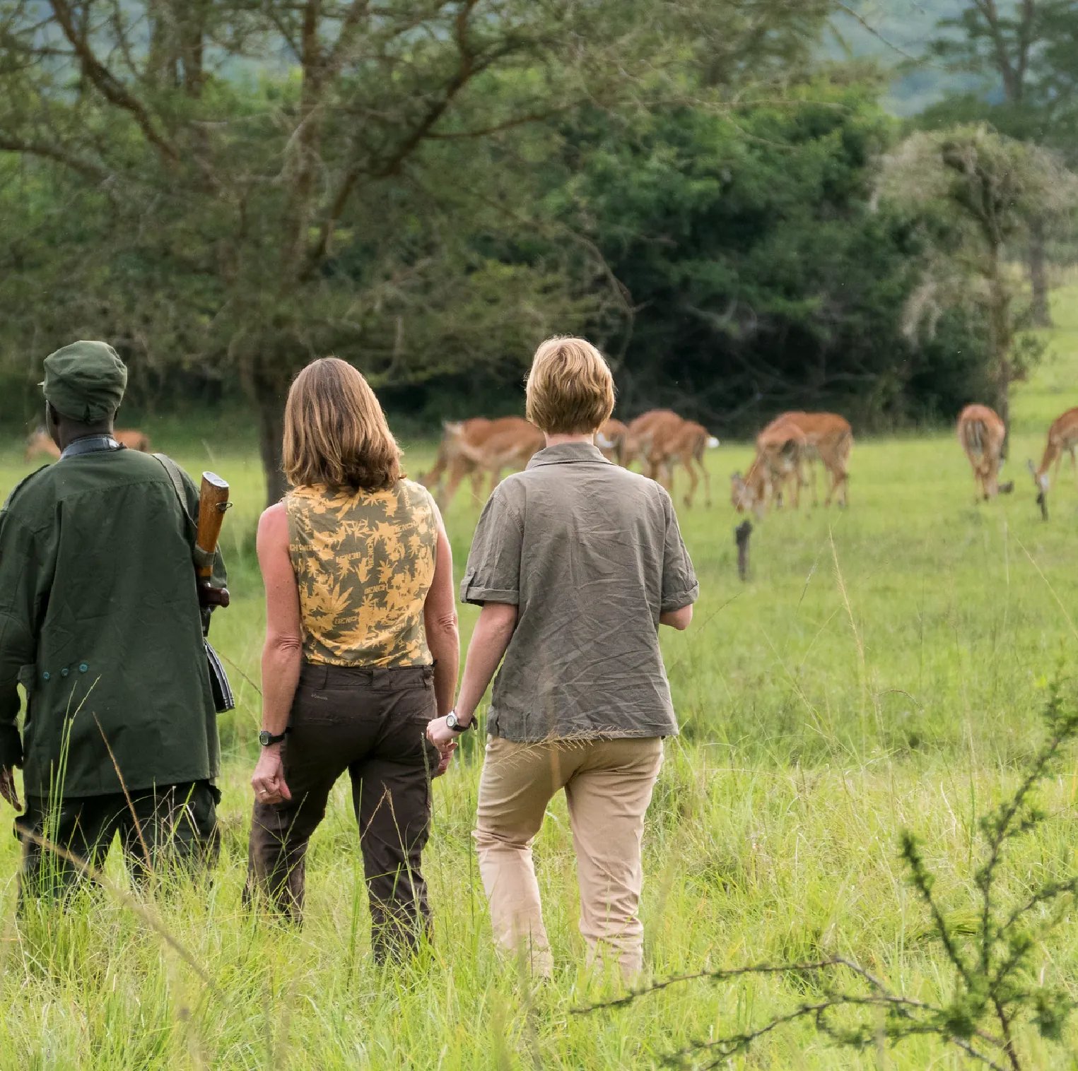 7 Days Northern Circuit Tanzania Safari