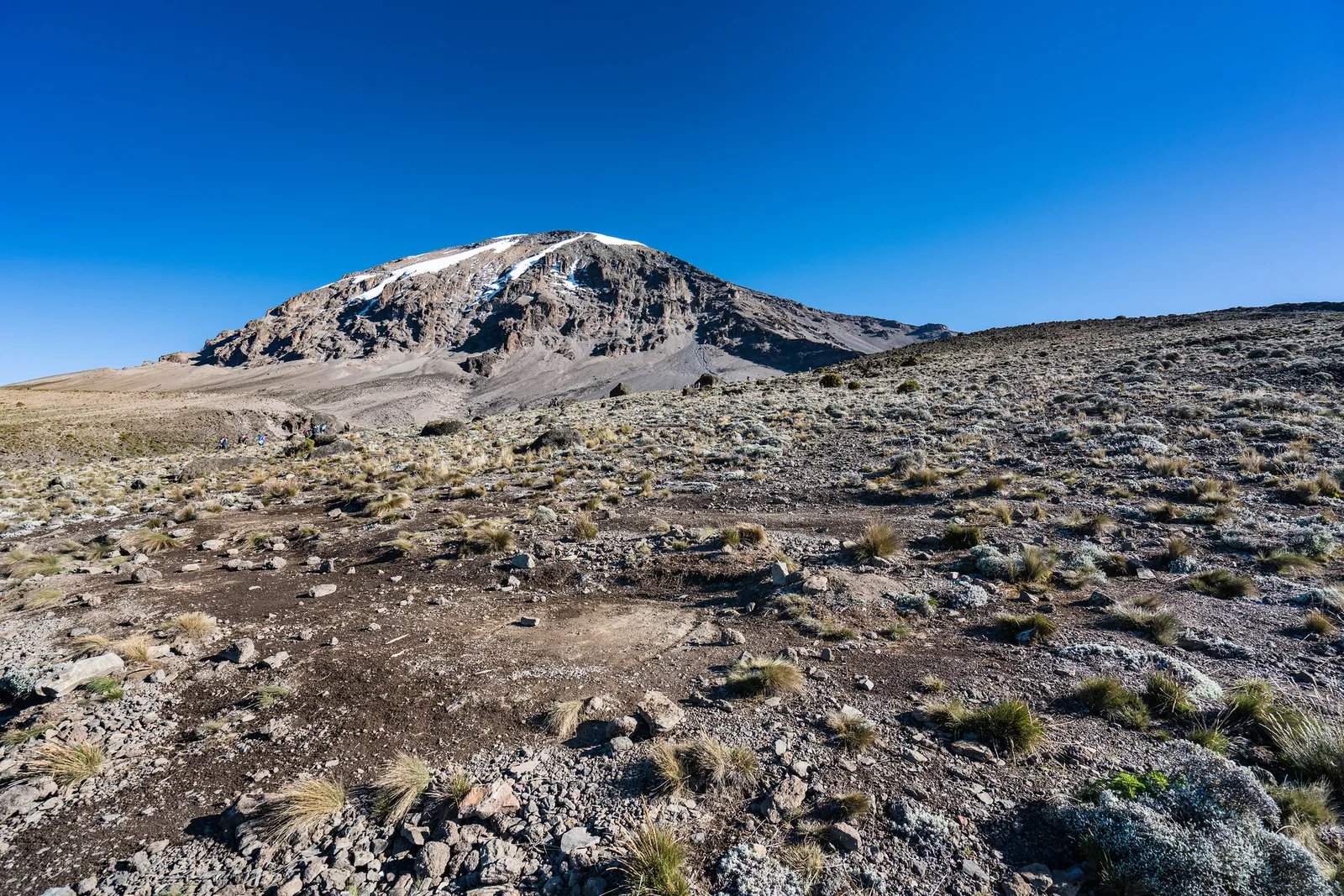 7 Days Machame Route Kilimanjaro Mount Trekking Safari