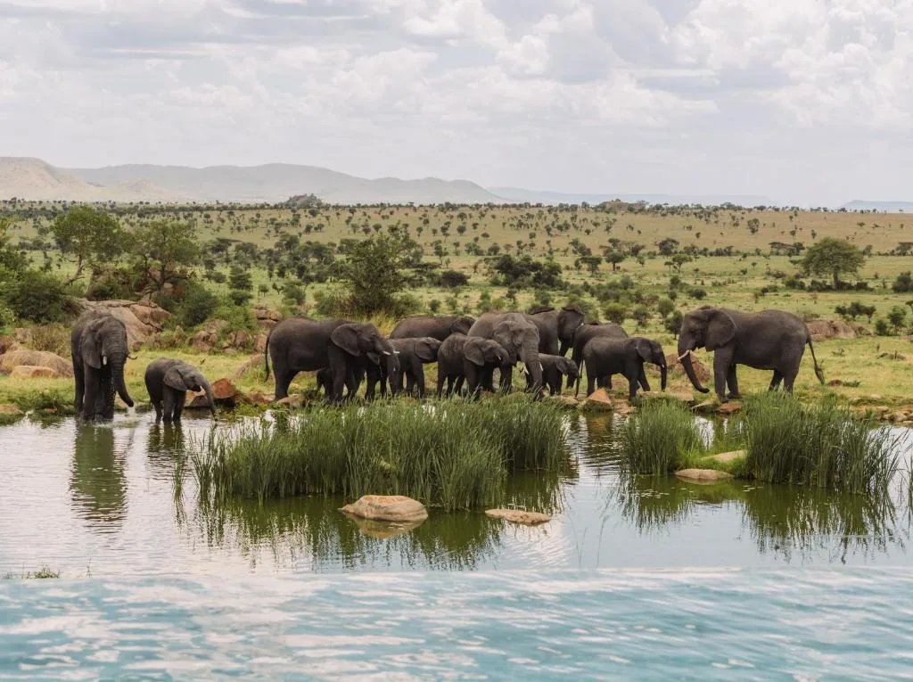 10 Days Magical Southern Tanzania Safari