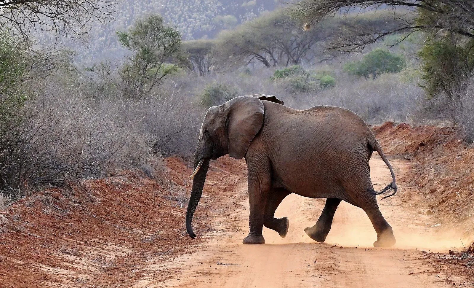 5 Days Taste of Southern Kenya