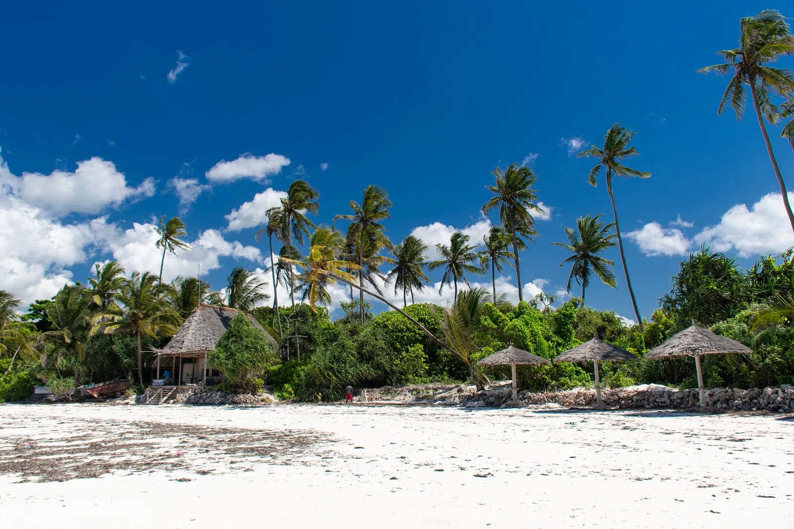 9 Days Tanzania Bush and Beach Safari
