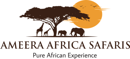 Ameera Africa Safaris