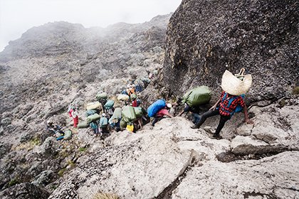 7 Days Machame Route Kilimanjaro Mount Trekking Safari