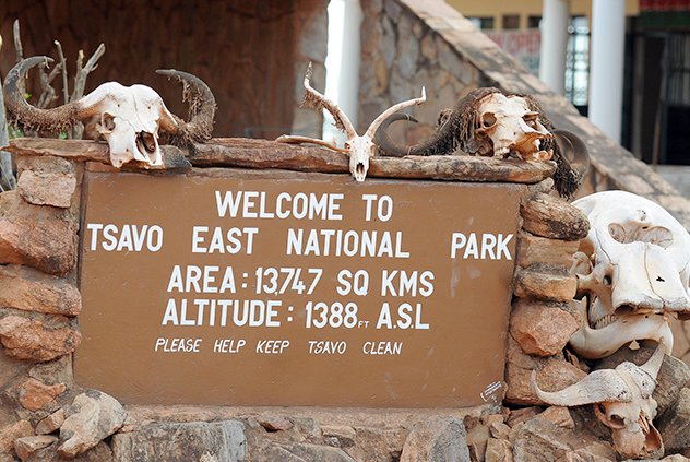 9 Days Explore Kenya Wilderness Safari